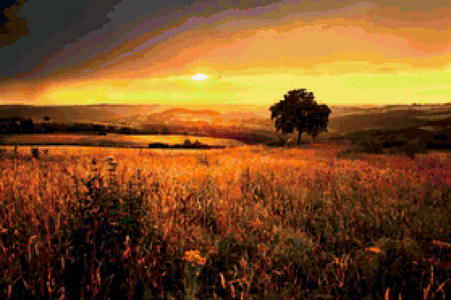 закат в поле - закат, поле - предпросмотр