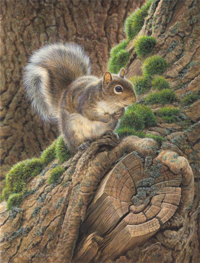 №309649 - оригинал