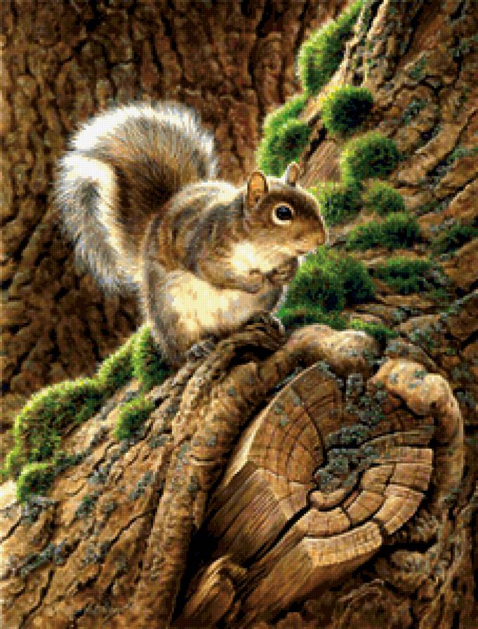 №309649 - предпросмотр