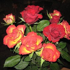 Схема вышивки «розы»