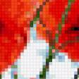 Предпросмотр схемы вышивки «маки» (№309719)