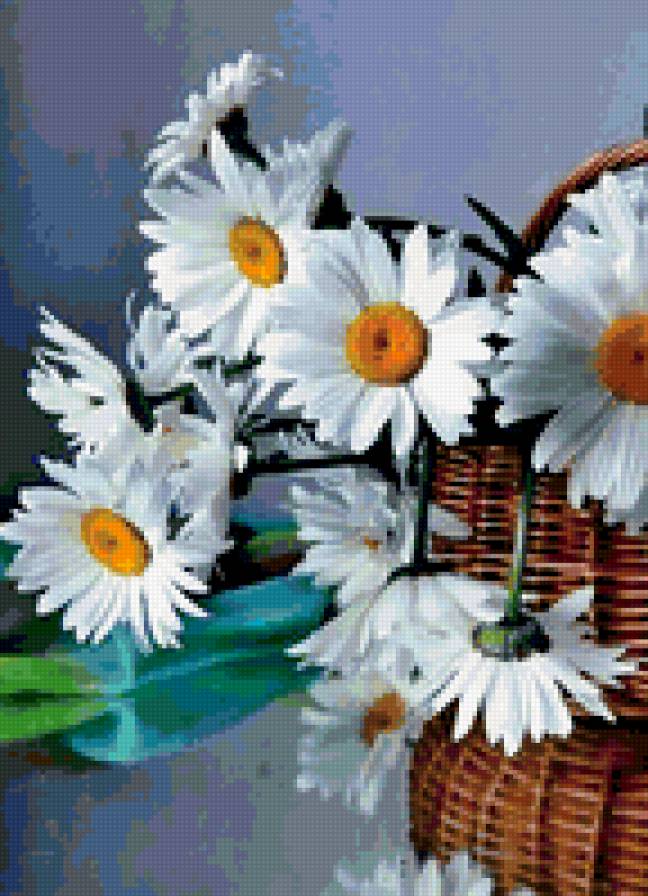 ромашки - ромашки - предпросмотр