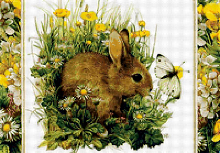 Зая - любимцы, пушистые комочки - предпросмотр