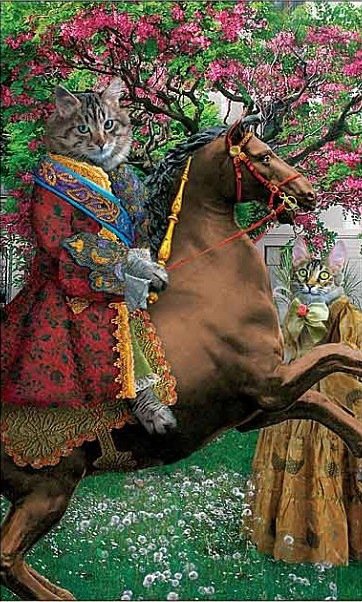 На коне 2 - кошарики - оригинал