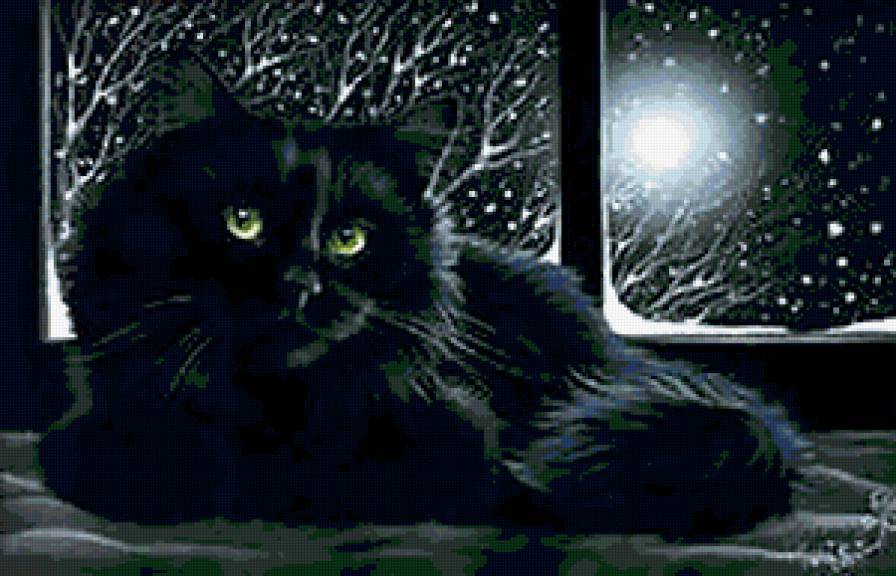 №310082 - окно, ночь, черные коты, кошки, домашние питомцы - предпросмотр