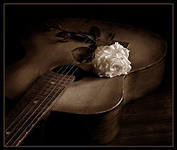 №310104 - гитара.роза, музыка, белая роза - оригинал