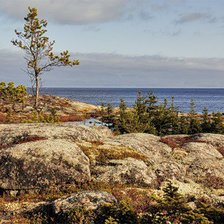 Схема вышивки «пейзаж»