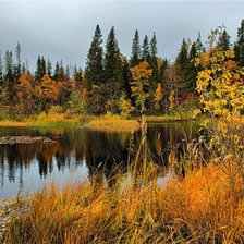 Схема вышивки «ОСЕНЬ»