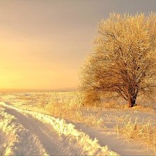 Схема вышивки «зима»