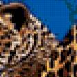 Предпросмотр схемы вышивки «леопарды» (№310116)