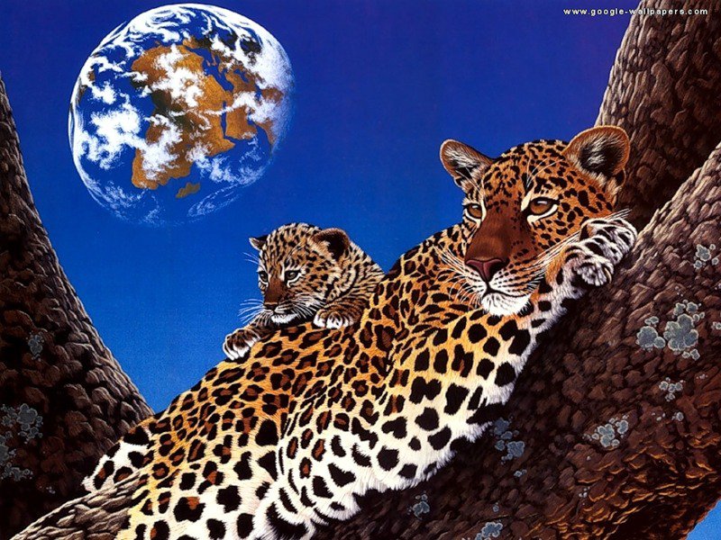 леопарды - природа, семья, леопарды - оригинал