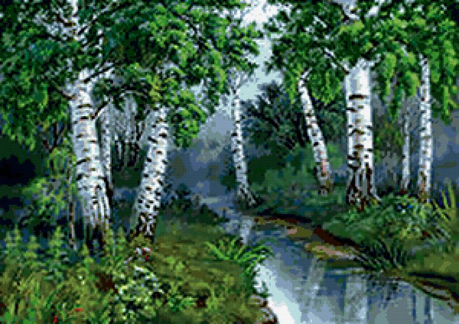 №310130 - лес, березы, русь, природа, река - предпросмотр