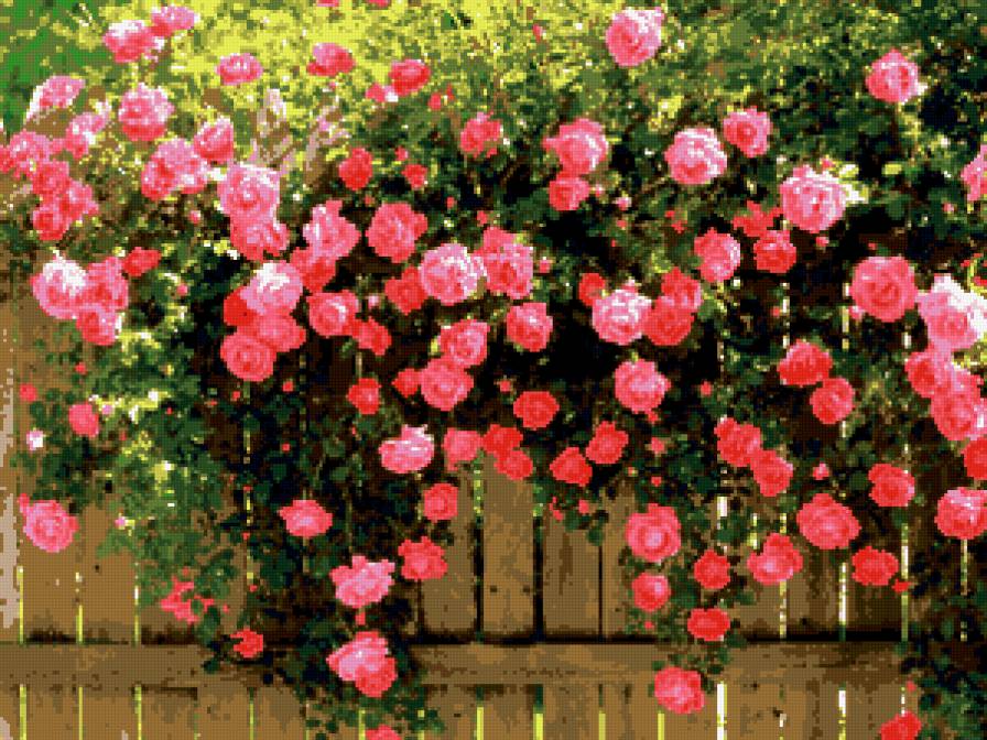 розовый фон - предпросмотр