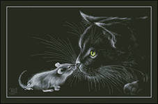 встреча - мышь, грызуны, кот, домашние питомцы - оригинал