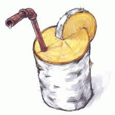 Схема вышивки «Фреш березовый»