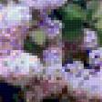 Предпросмотр схемы вышивки «Сирень» (№310236)