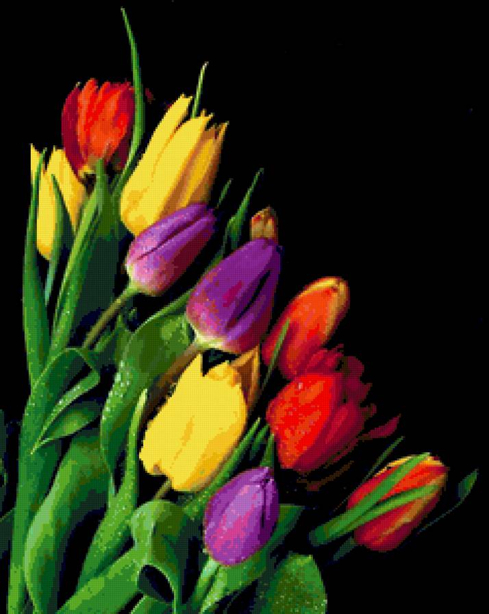 Тюльпаны - предпросмотр