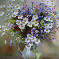 серия полевые цветы