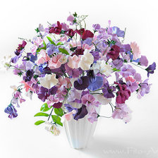 Схема вышивки «серия душистый горошек»