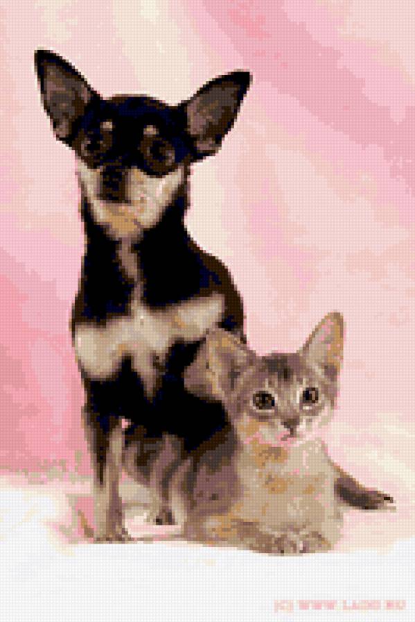 Друзья - собаки, кошки, природа, животные - предпросмотр