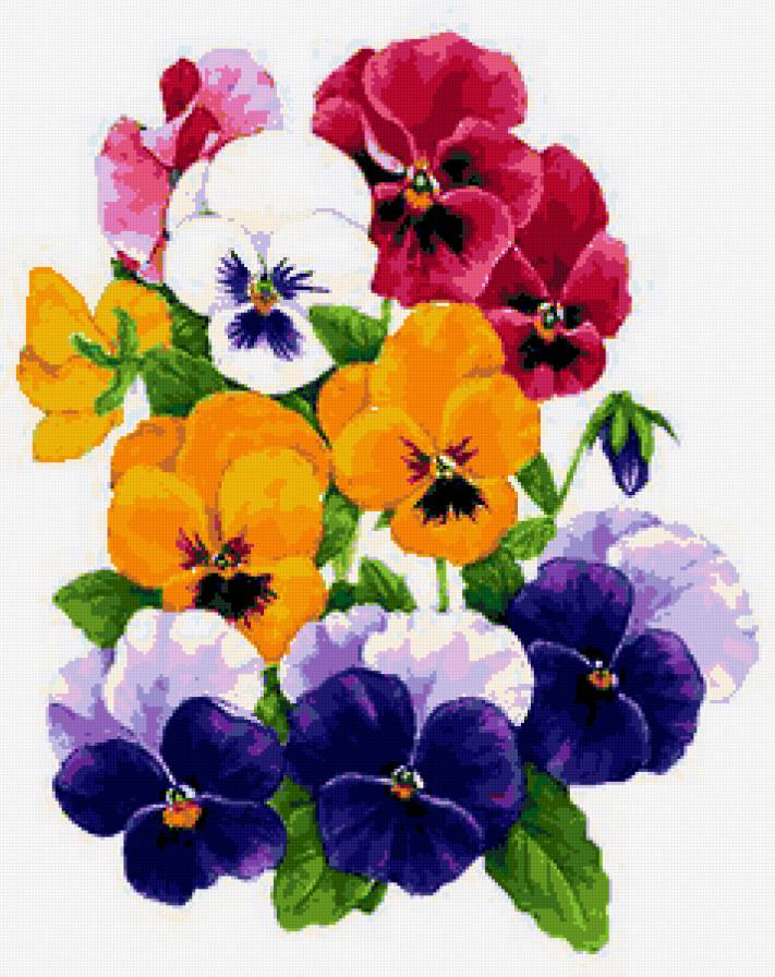 анютки - цветы - предпросмотр