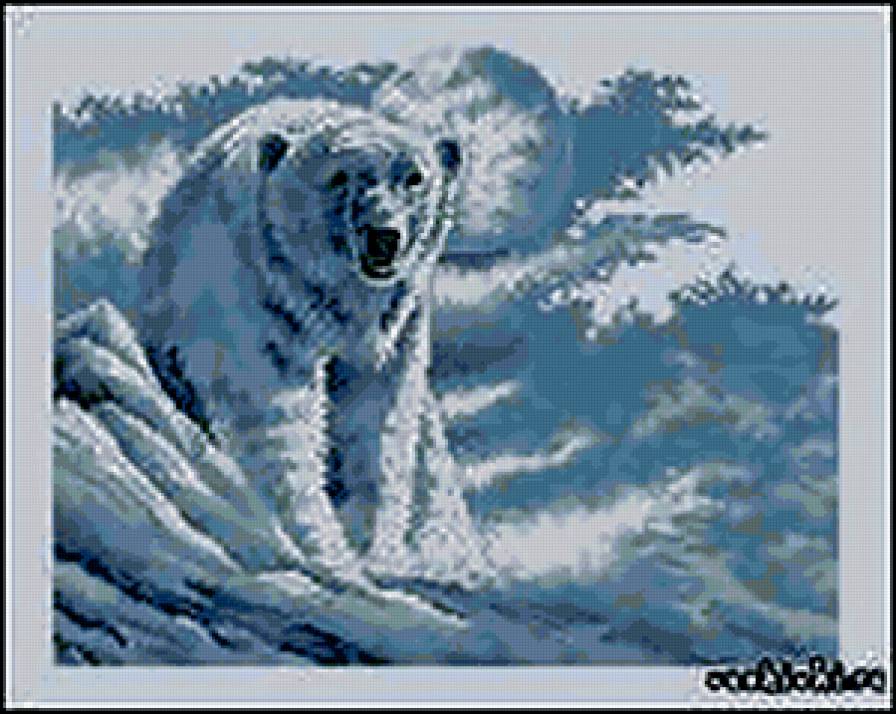 №310414 - зима, медведь, дикий мир, снег - предпросмотр