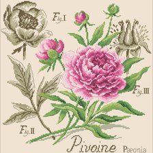 Оригинал схемы вышивки «2» (№310582)