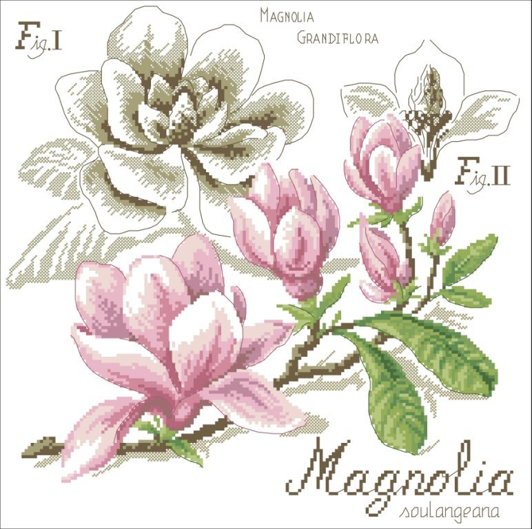 №310595 - оригинал