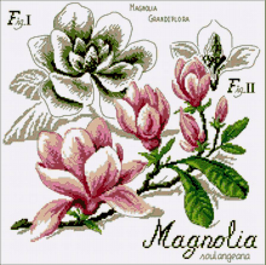 №310595 - предпросмотр