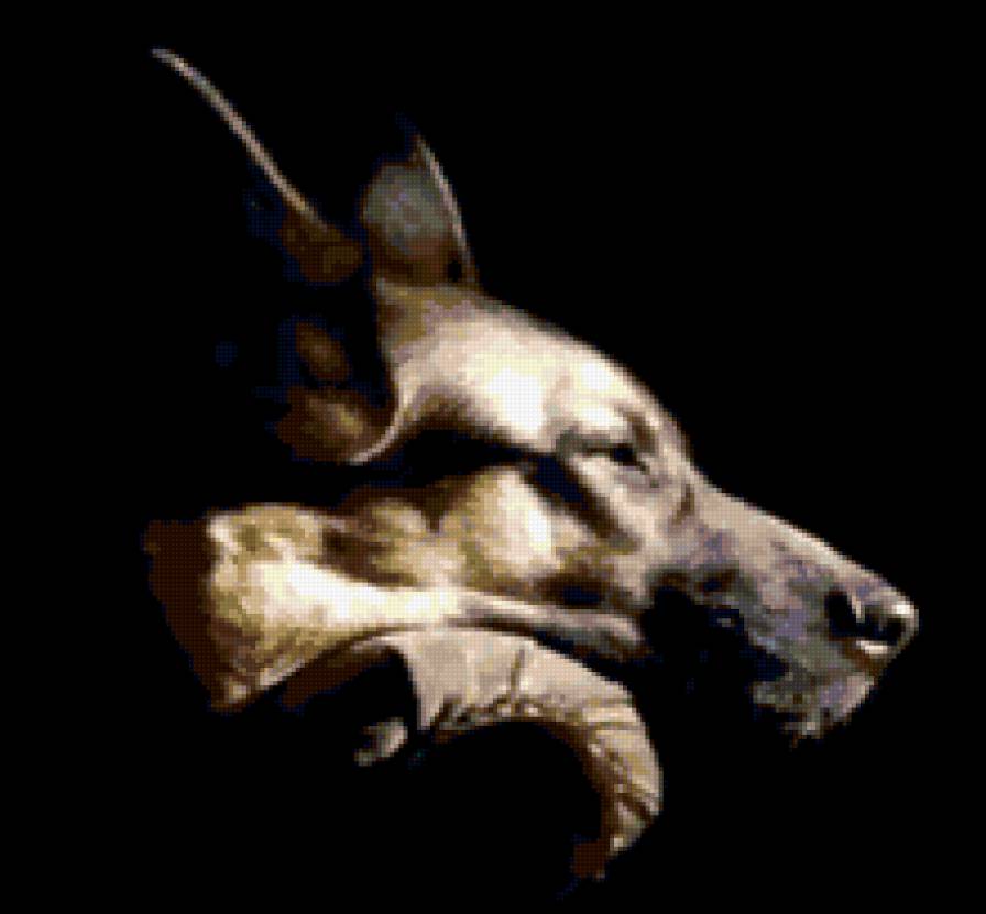 овчарка - овчарка, собака - предпросмотр