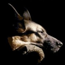 Схема вышивки «овчарка»