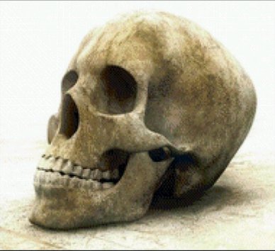 череп - череп - оригинал