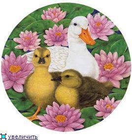 №310630 - оригинал