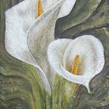 Схема вышивки «Каллы»