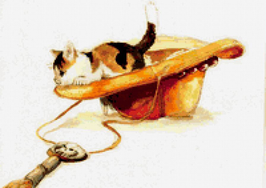 Котик в шляпе Эйса - ван пис, эйс - предпросмотр