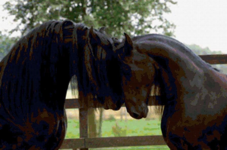 лошади - природа, лошади - предпросмотр