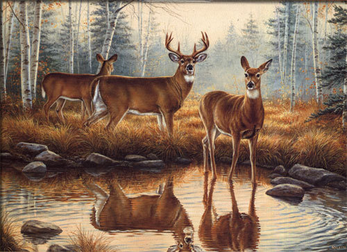 олени - животные - оригинал