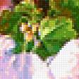 Предпросмотр схемы вышивки «Натюрморт с мальвами» (№310756)