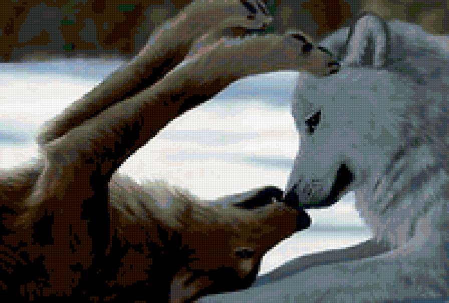 поцелуй - радость, животные, пара, волки - предпросмотр