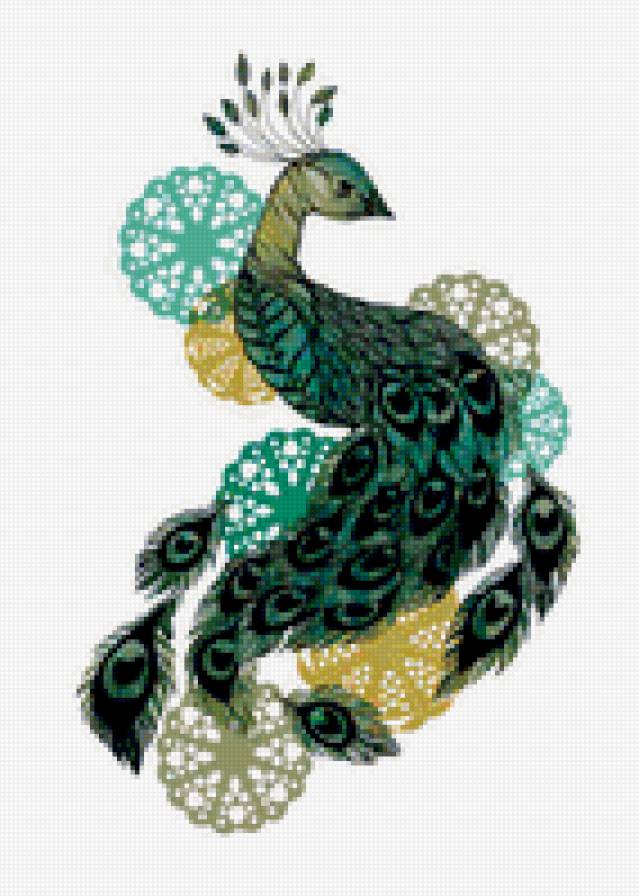 peacock 3 - предпросмотр