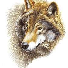 Оригинал схемы вышивки «Волк» (№310978)