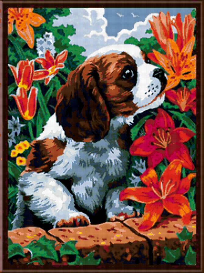 Вокруг весна - лилии, времена года, щенок, собачка - предпросмотр