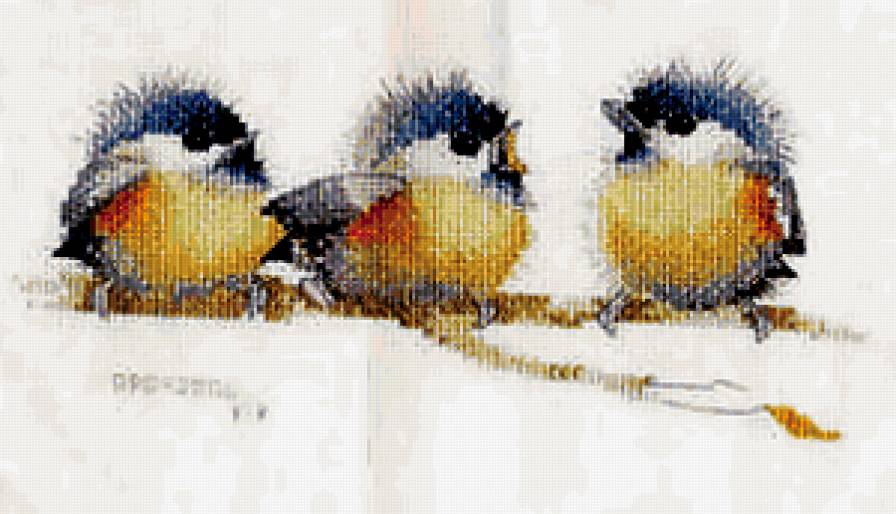 №311094 - стая, птичий базар, зима, дерево, синички, снег - предпросмотр