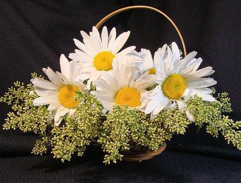 Чудо в корзинке - букет, картина, натюрморт, открытка, цветы - оригинал