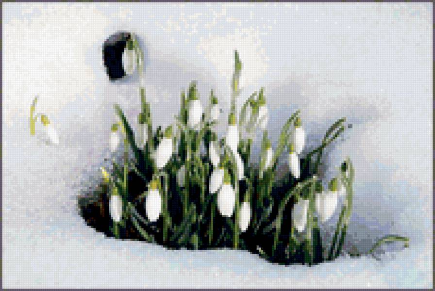 №311157 - предпросмотр