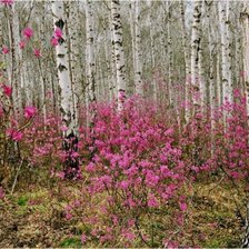 Схема вышивки «№311159»