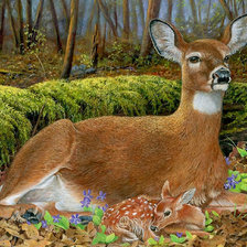 Схема вышивки «№311229»