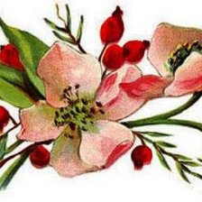 Схема вышивки «Магнолия»