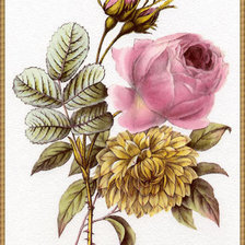 Оригинал схемы вышивки «Цветы» (№311283)