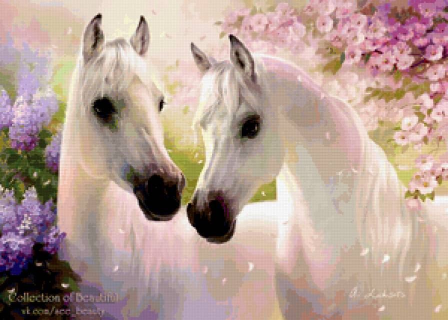 белые лошади - белые лошади, кони - предпросмотр
